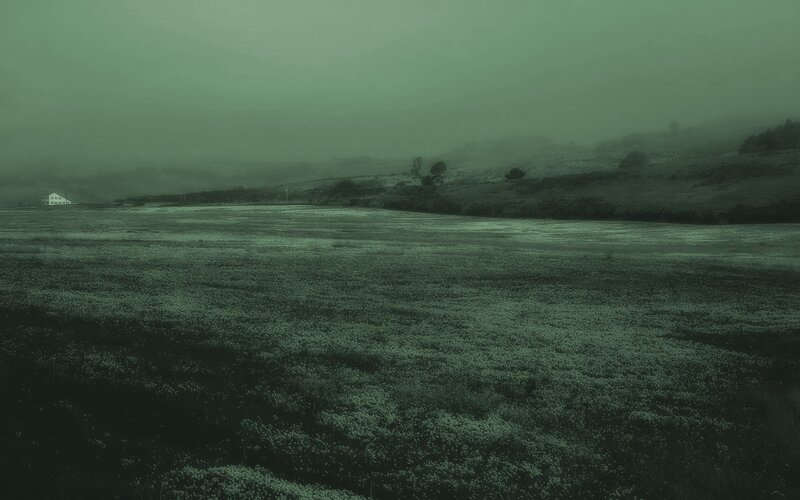 White House in Foggy Field