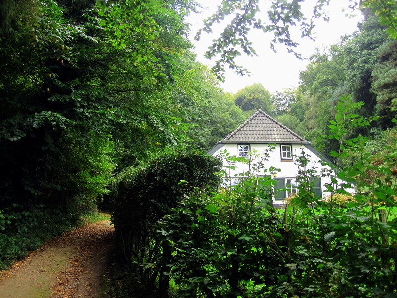 White House in Forest — Green, Serene, Afternoon