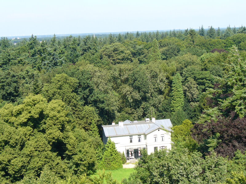 White House in Forest — Green
