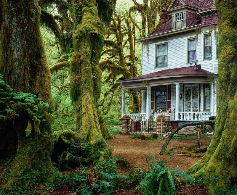 White House in Forest