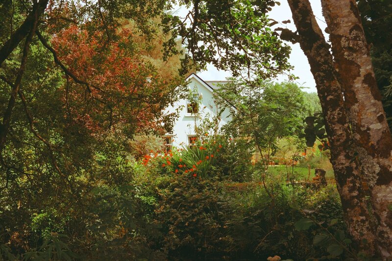 White House in Garden — Green, Serene