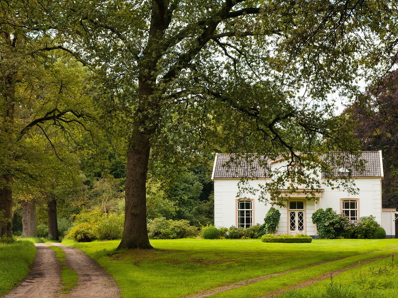 White House in Garden — Green