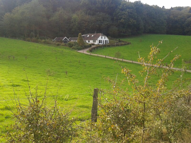 White House in Green Field — Serene, Afternoon