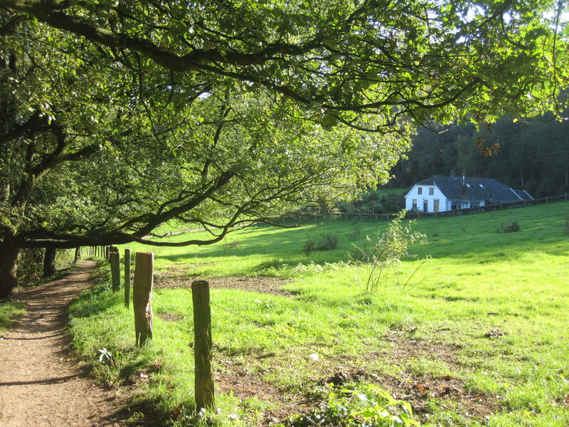White House in Green Field — Serene