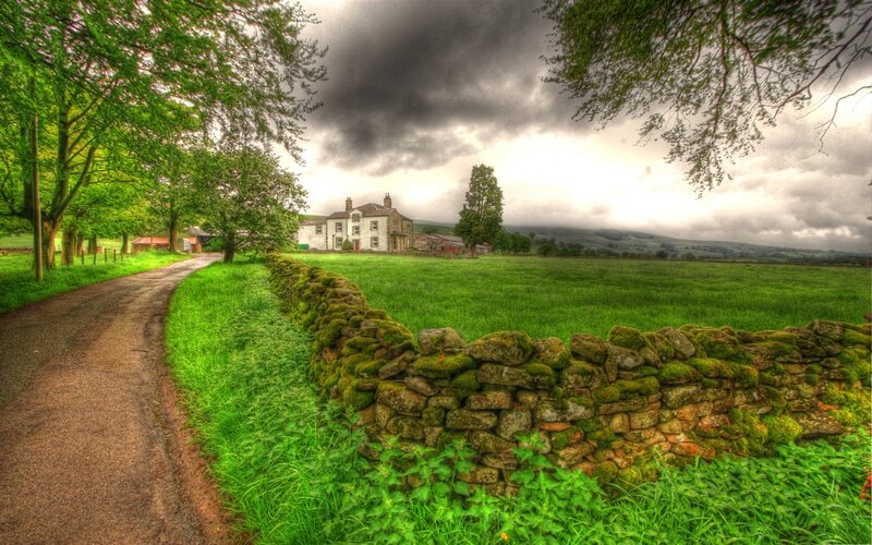 White House in Green Field