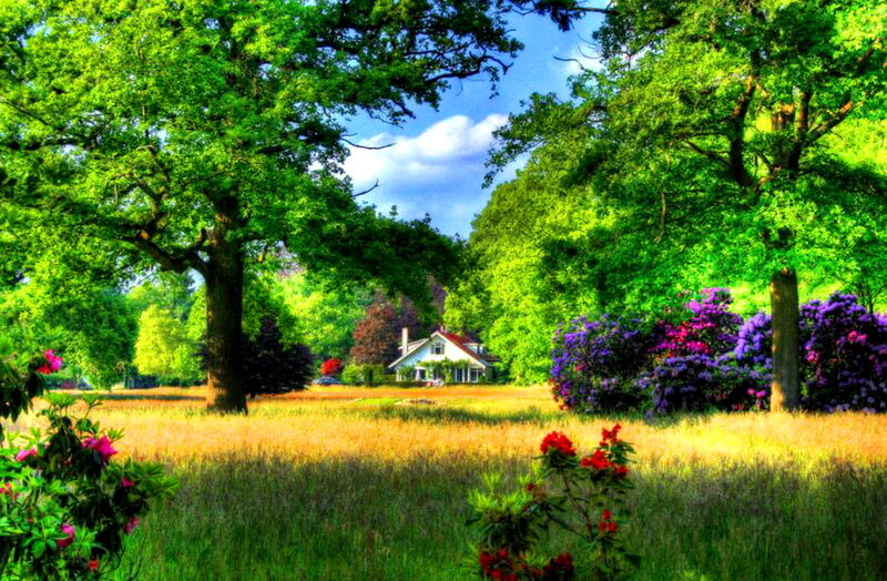 White House in Meadow