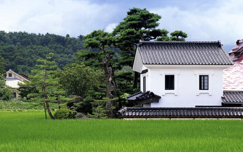 White House in Rice Field