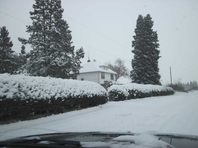 White House in Snow — Cold