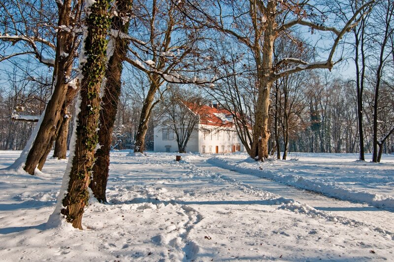 White House in Snow — Serene, Winter, Photograph