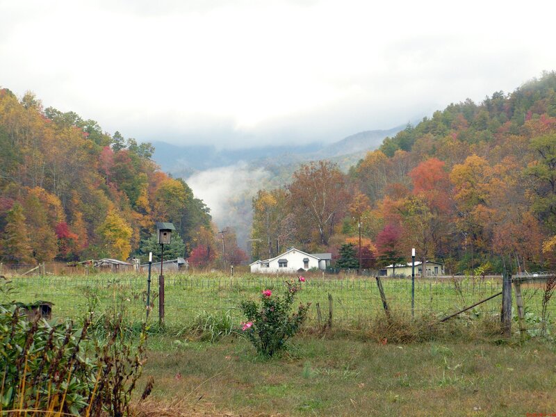 White House in Valley