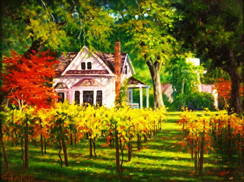 White House in Vineyard — Green, Serene