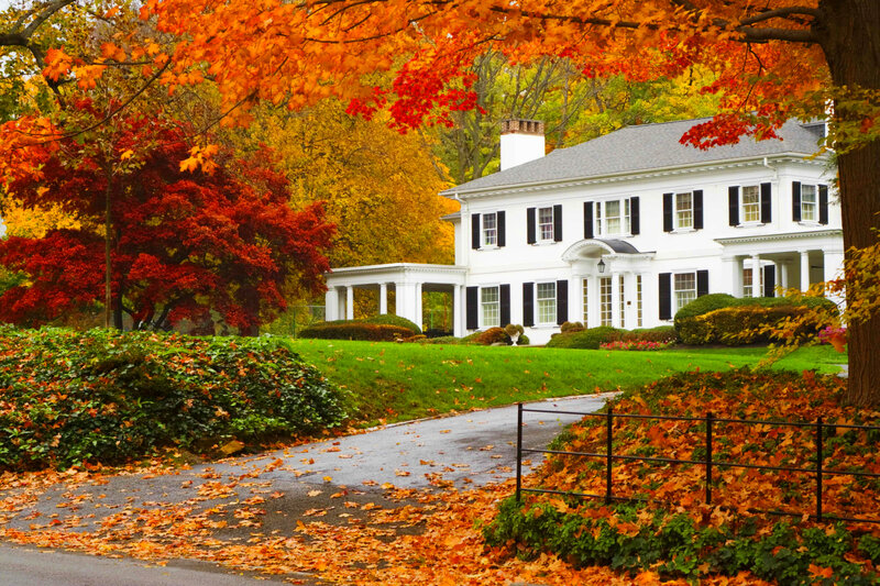 White House with Autumn Leaves — Orange
