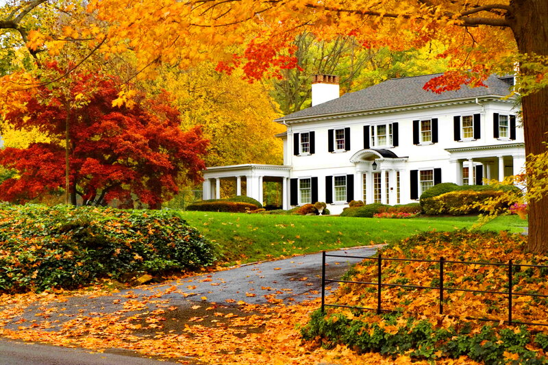 White House with Autumn Leaves