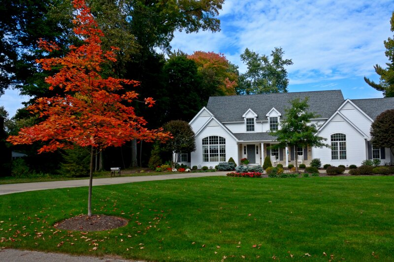 White House with Autumn Tree — Green