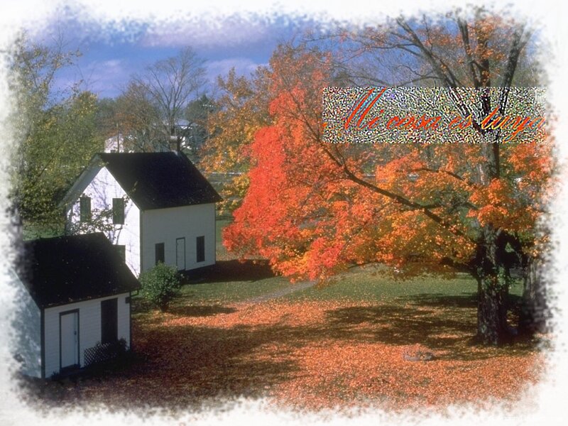 White House with Autumn Tree