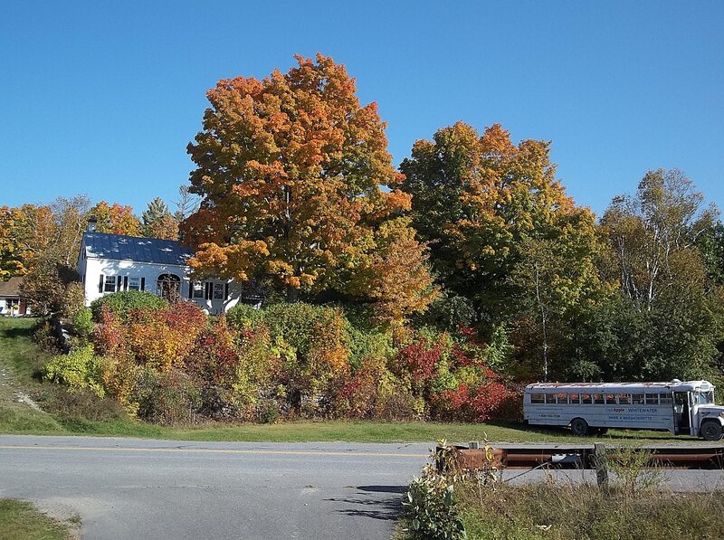 White House with Autumn Trees — Blue
