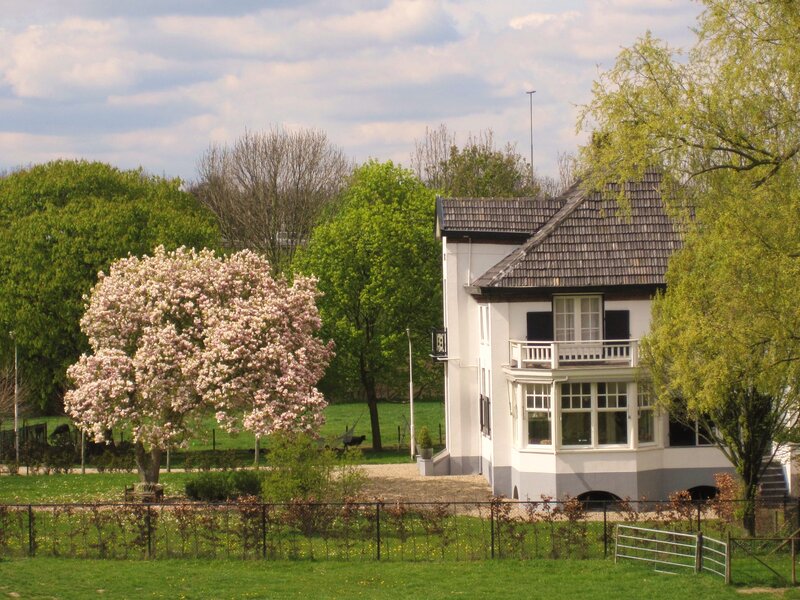 White House with Blooming Tree