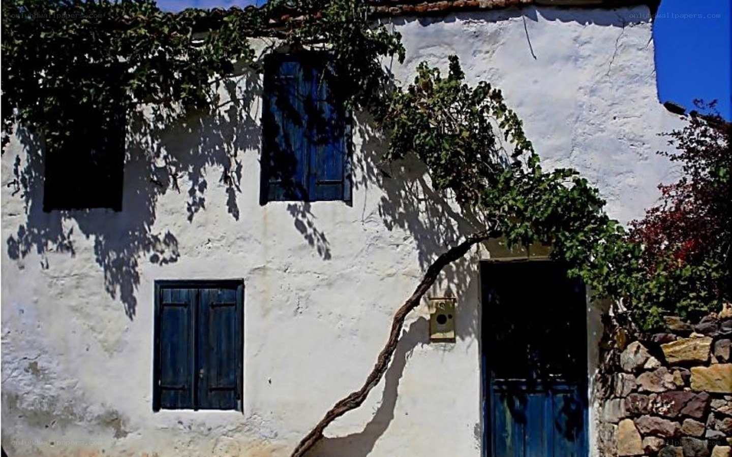 White house with blue shutters