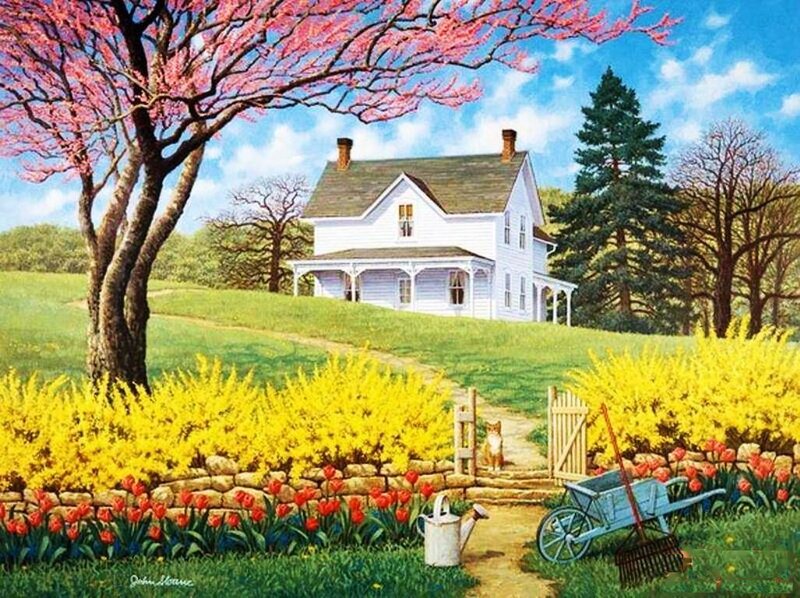 White House with Cat