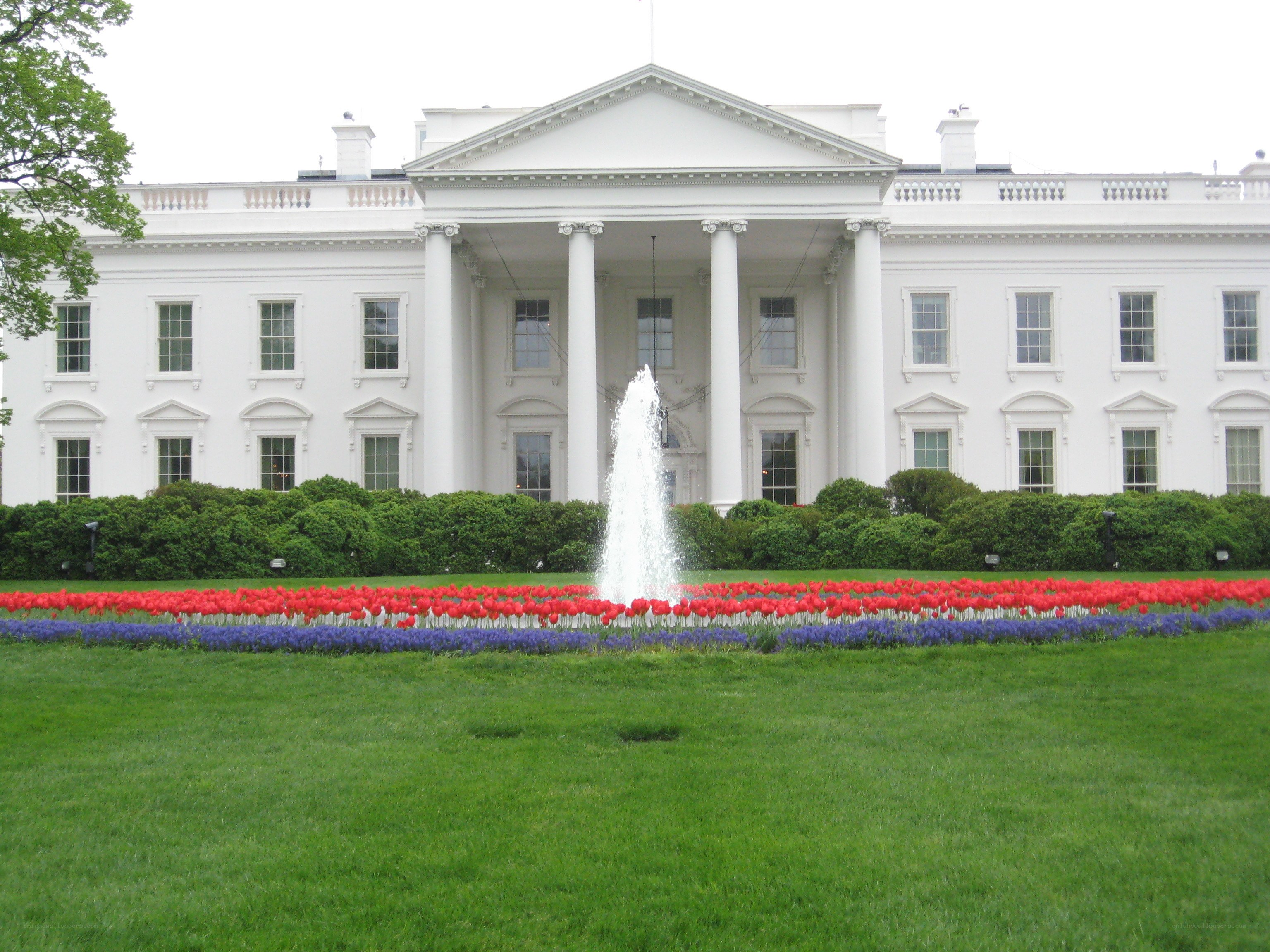White House with flower beds