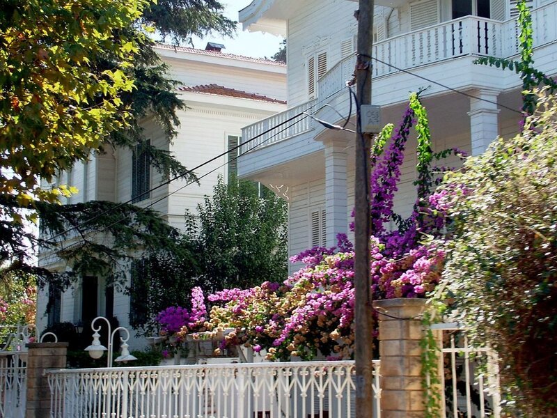 White House with Flowers — Serene, Afternoon
