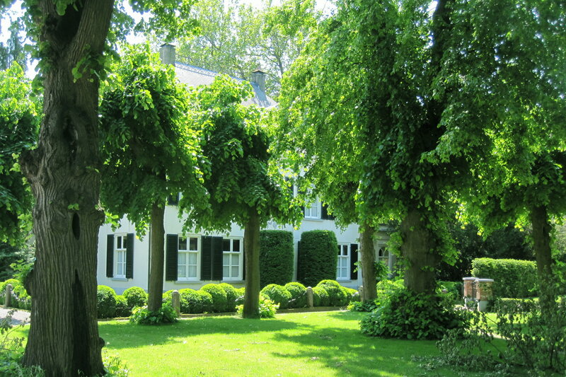 White House with Green Trees — Serene