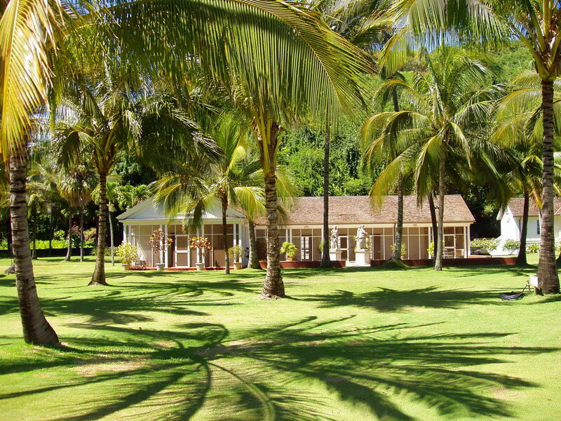 White House with Palm Trees