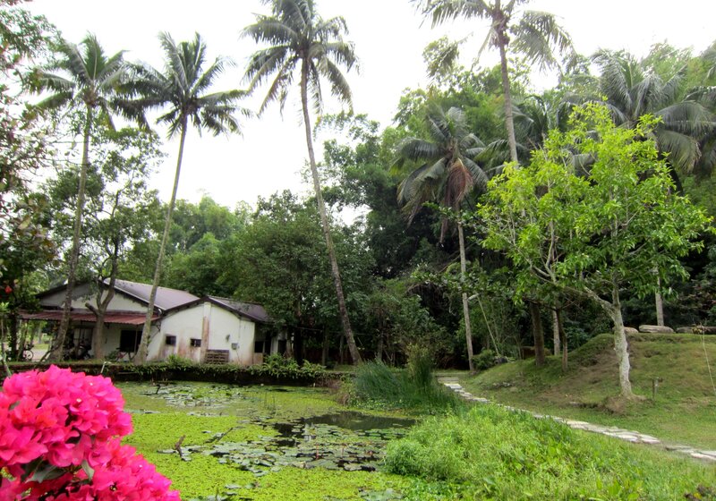 White House with Pond