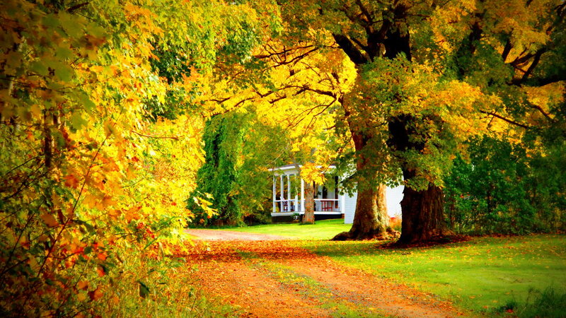White House with Porch — Yellow, Serene