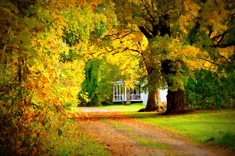 White House with Porch — Yellow