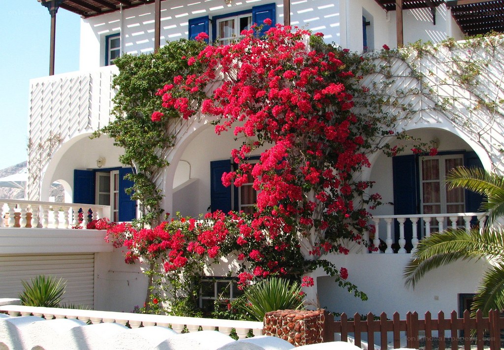 White house with red flowers