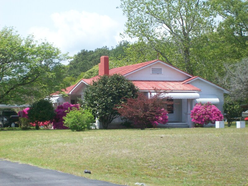 White House with Red Roof — Green