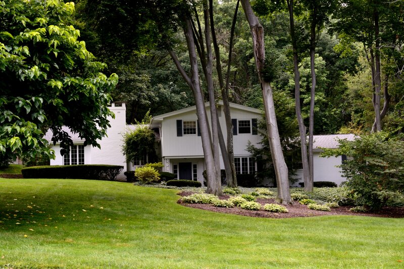 White House with Trees — Green, Serene, Afternoon
