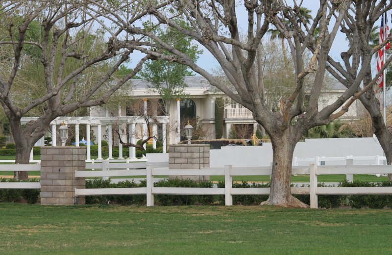 White House with Trees — Green