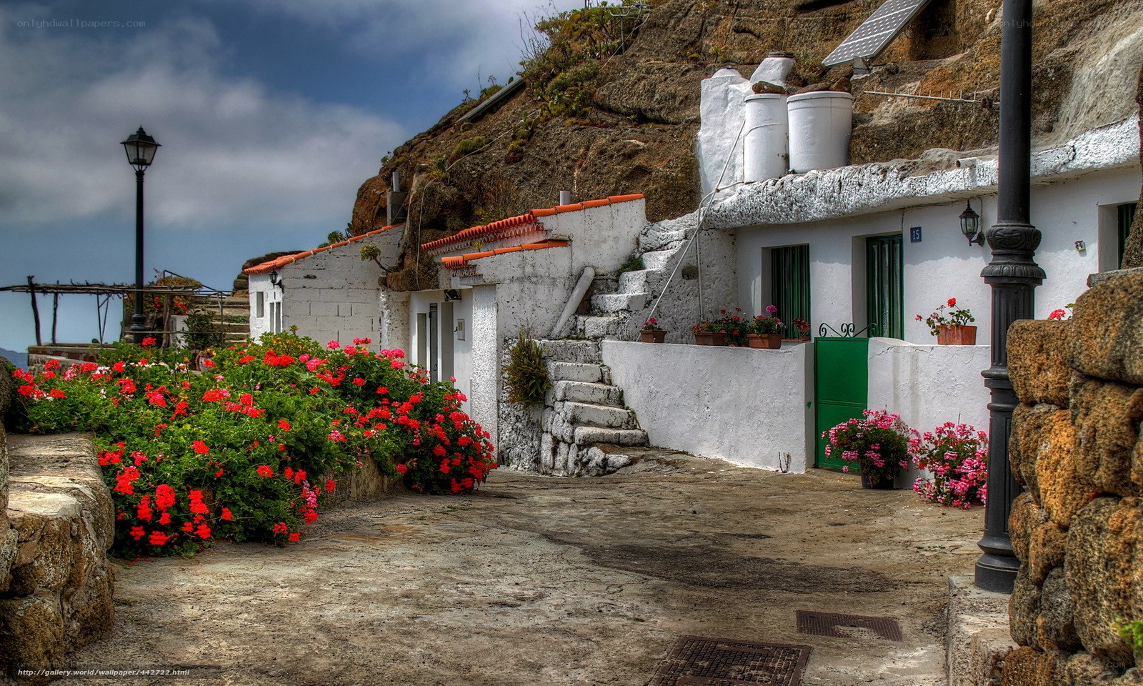 White houses with red flowers