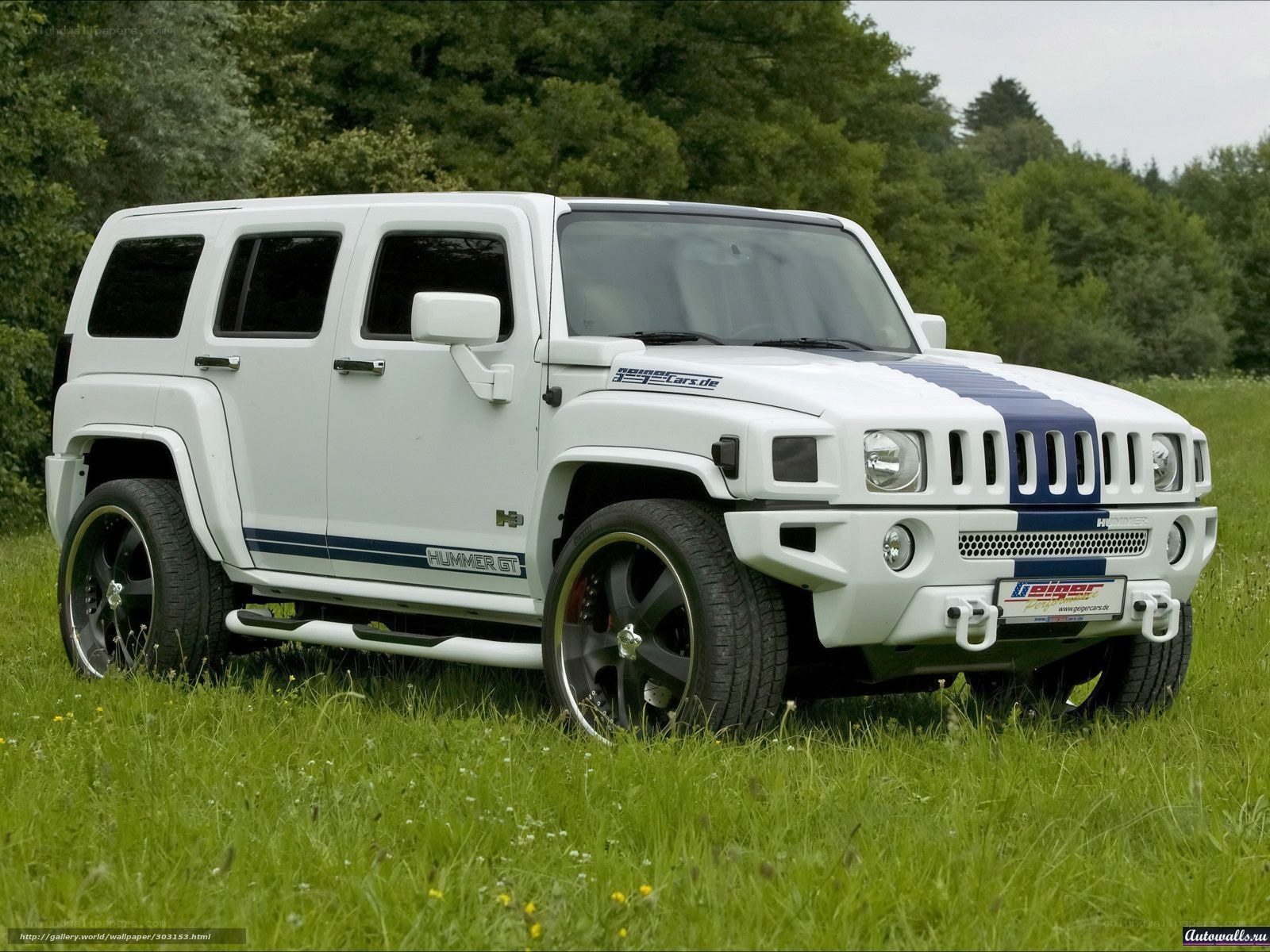 white hummer gt in field