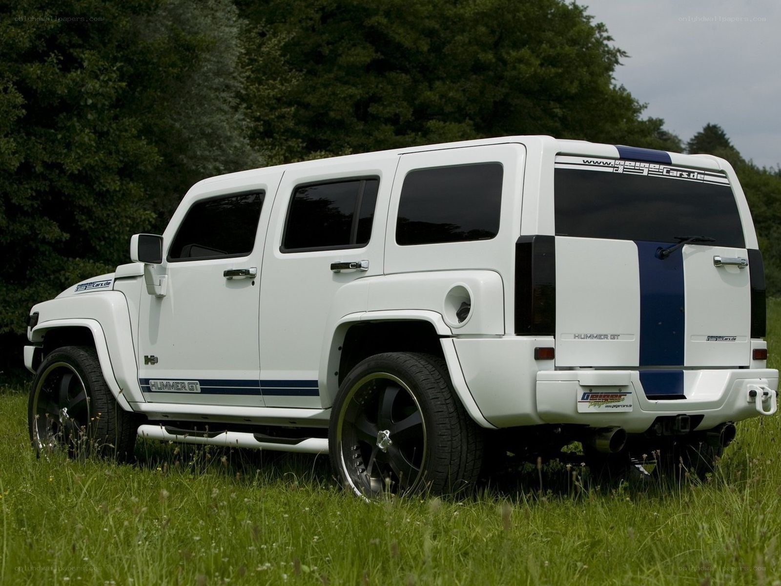 white hummer gt in grass