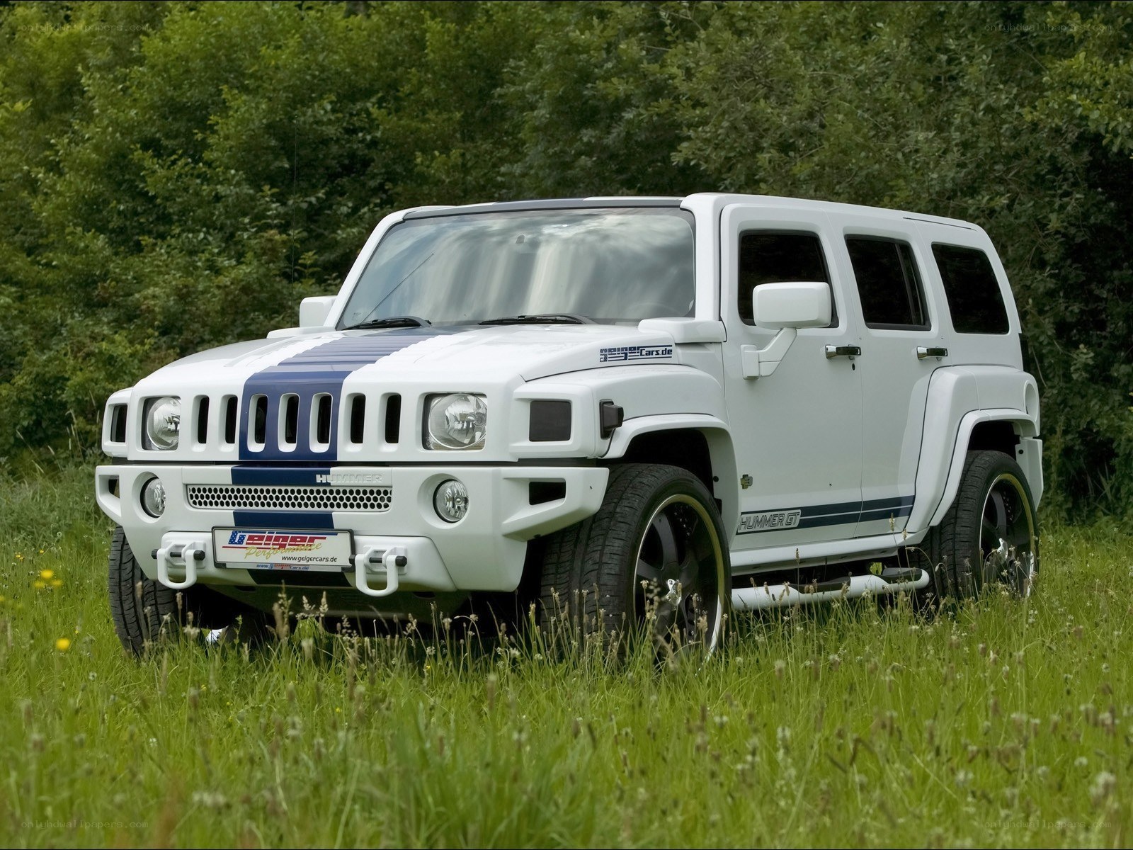 white hummer in a field