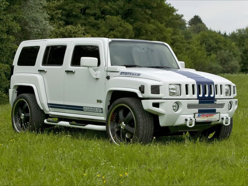 white hummer in a field