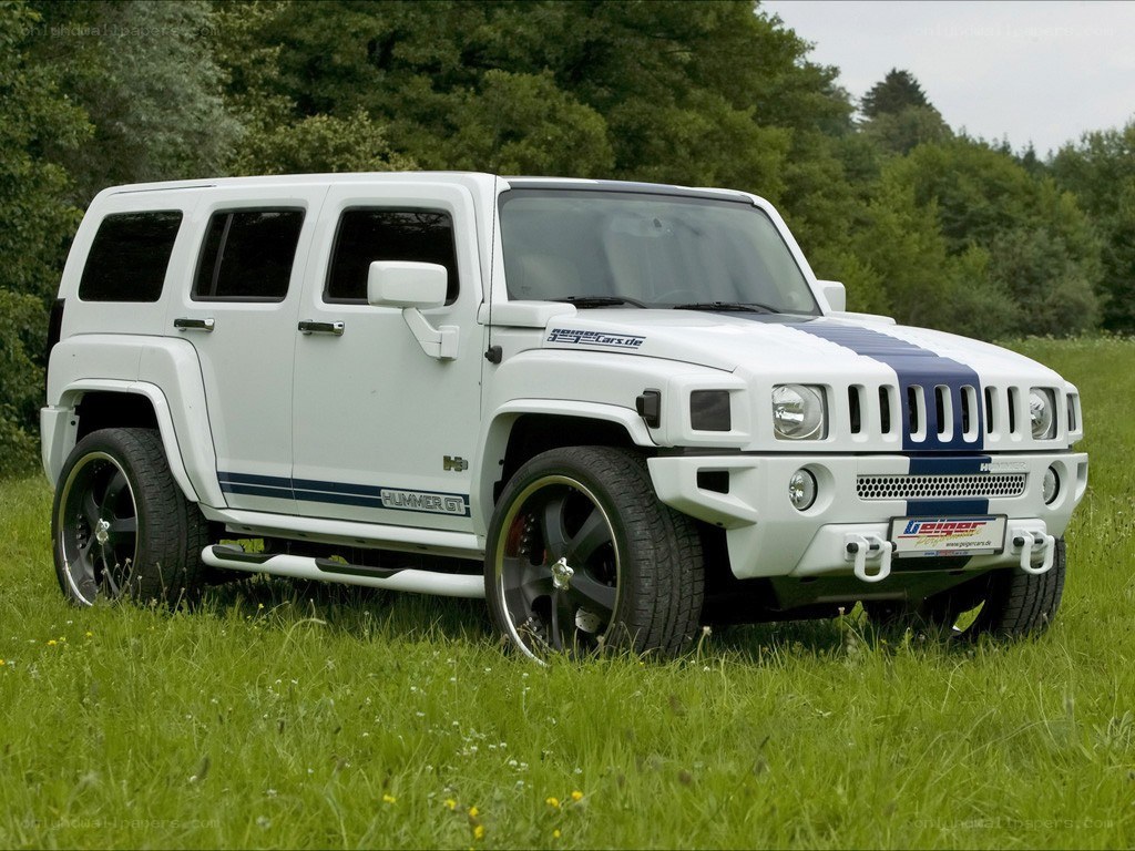 white hummer in a field