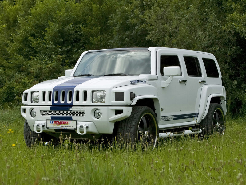 white hummer in a grassy field