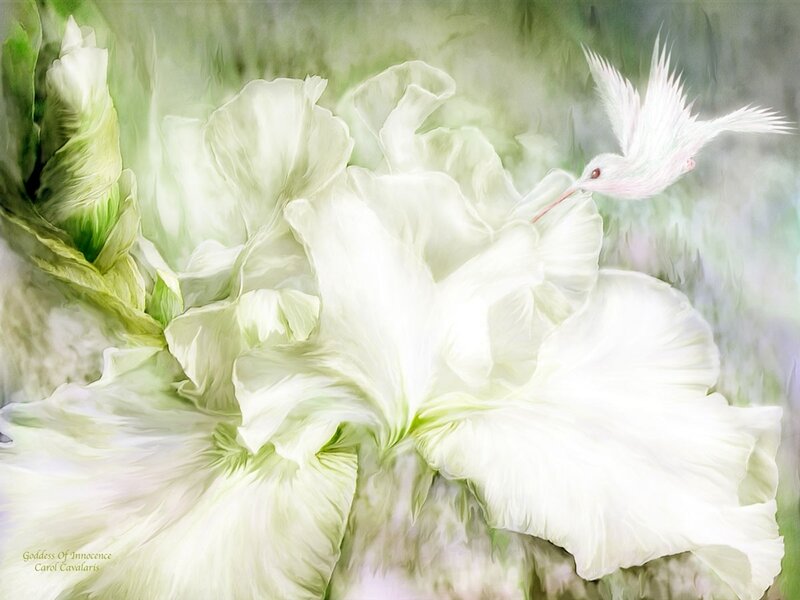 White Hummingbird and Flower