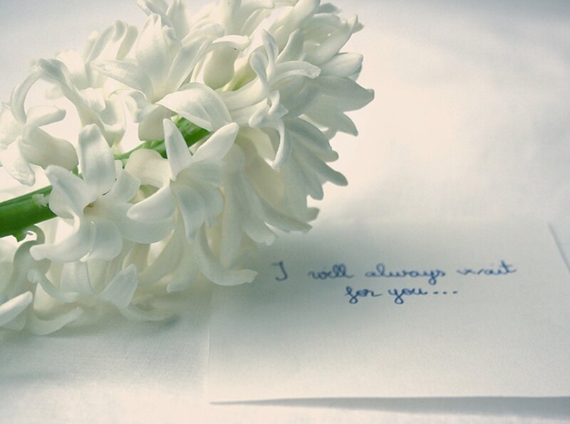 White Hyacinth Flower — Serene, Photograph