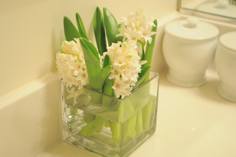 White Hyacinth Flowers — Calm, Photograph