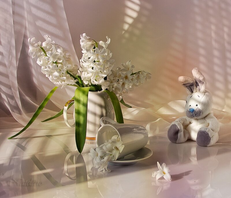 White Hyacinth Flowers — Serene, Morning, Photograph, Stuffed Rabbit