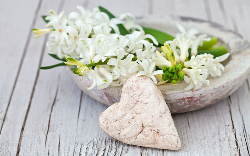 White Hyacinth Flowers — Serene, Photograph