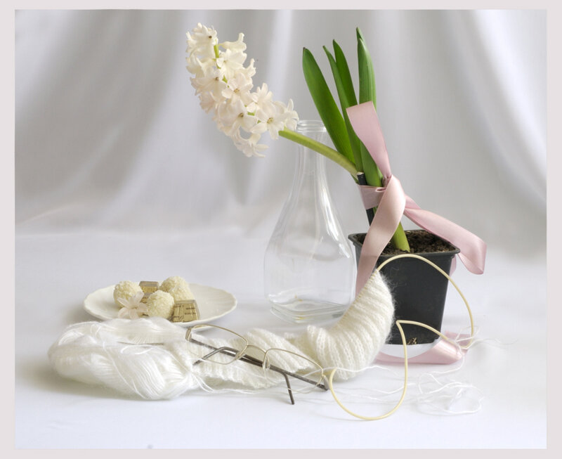 White Hyacinth in Pot