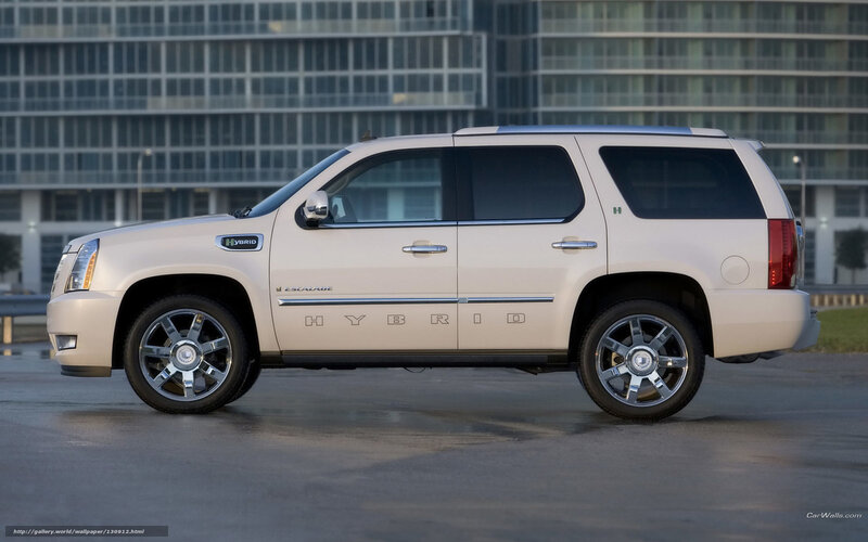 White Hybrid SUV