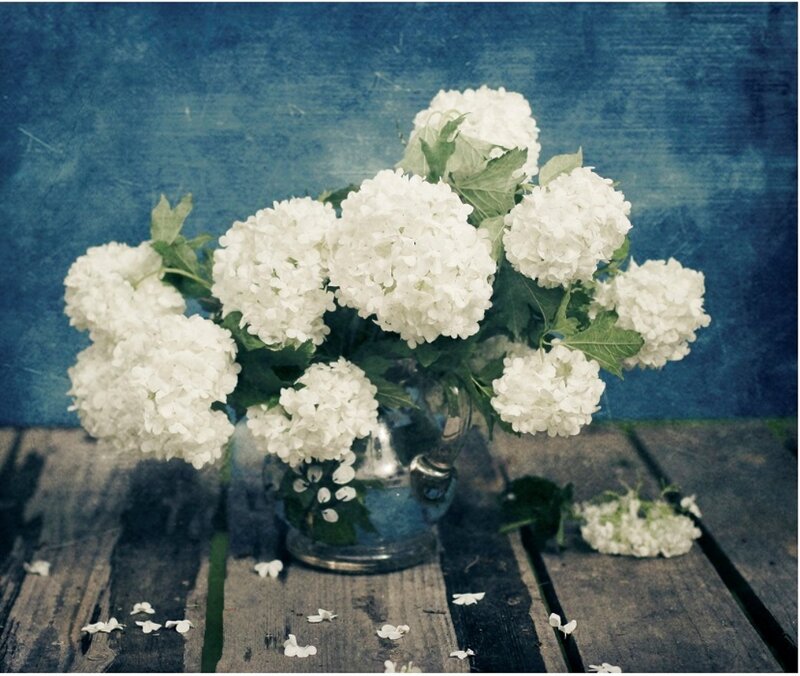 White Hydrangea Bouquet — Blue, Calm