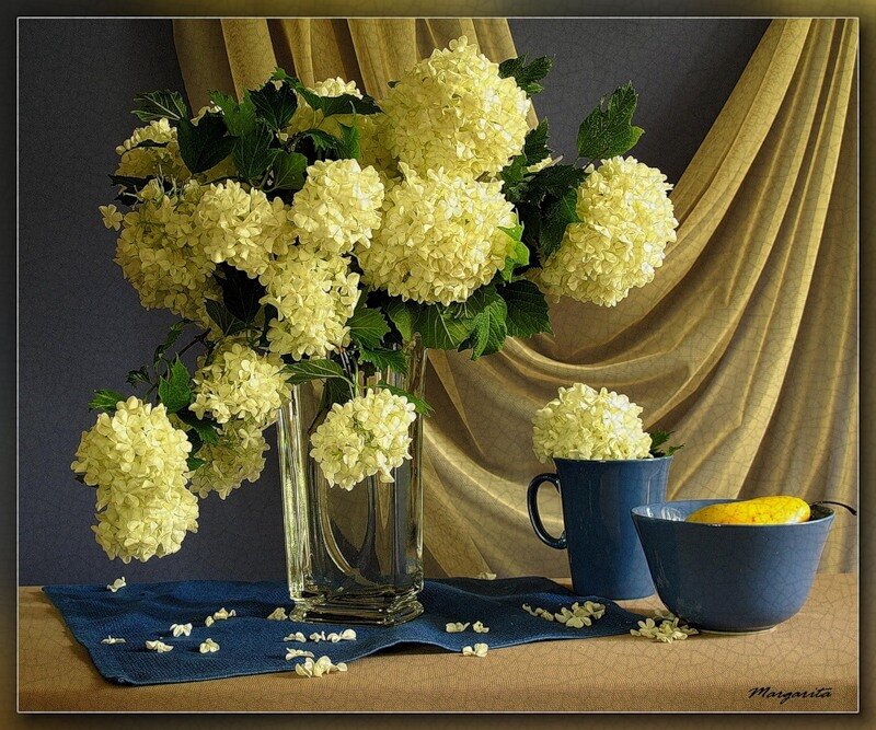 White Hydrangea Bouquet — Blue